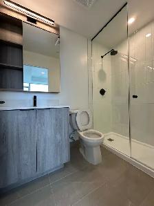 2 Bedroom   2 Washroom Apartment for Rent in Mississauga - Photo 4