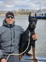 Élevage Doberman avec certification et certificat de race pure . - Photo 3