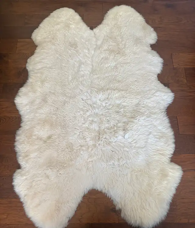 Sheep Skin Rug