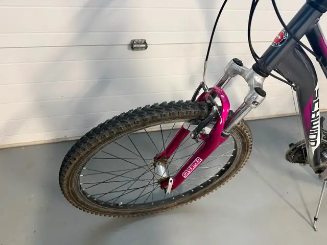 Two Bikes and a Bike rack pkg. - Photo 4