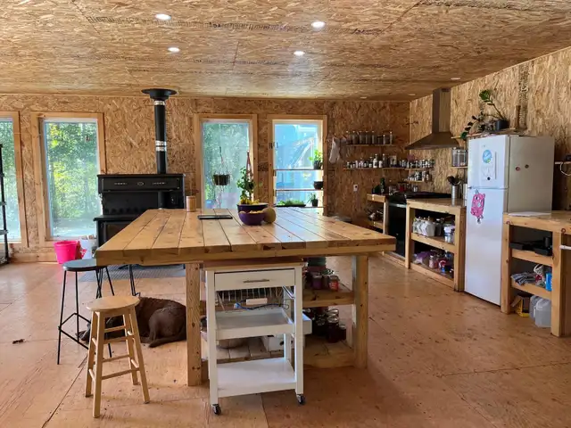 OFF-GRID LAKEFRONT PARADISE on 1 Acre Surrounded by Crown Land - Photo 18