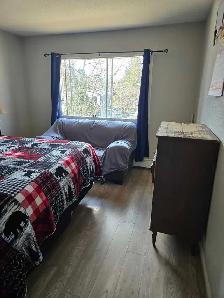 Room for Rent - Photo 5