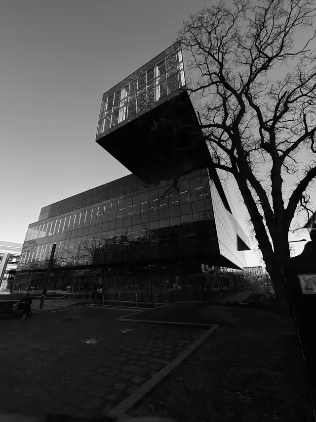 LOOKING FOR SUMMER WORK - Photo 2