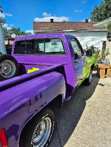 1978 STEPSIDE - Photo 9