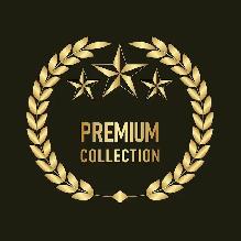 Very rare 514 Montreal premium phone number 514-558-5505
