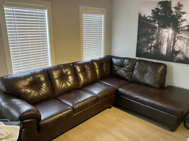 New Brown Leather couch set