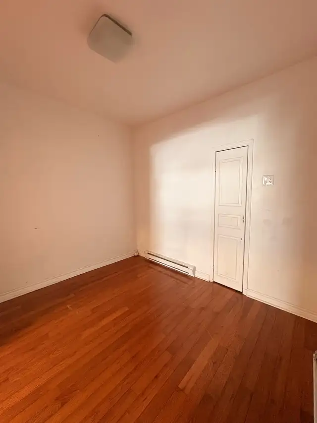 4.5 in Petite Patrie / Métro Beaubien (Avail Now) - Photo 6