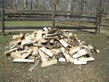 Firewood – Dry Poplar– Heavy Split