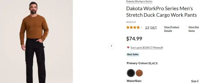 DAKOTA WORK PANTS - MEN - Photo 3