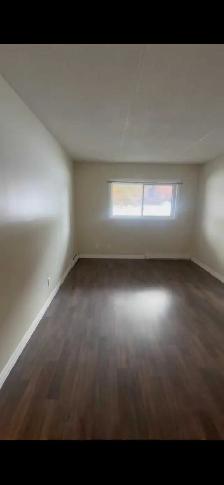 1 Bedroom  apartment (all inclusive)