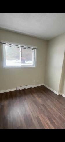 1 Bedroom  apartment (all inclusive) - Photo 5