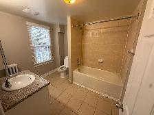 1 Month FREE - Bright & Spacious One-Bedroom Apartment - Photo 6