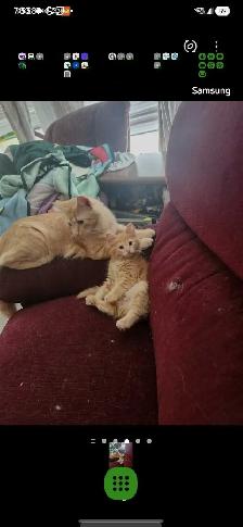 Lazyboy Rocker Recliner and Loveseat
