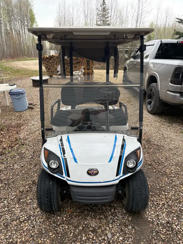 2009 Yamaha golf cart - Photo 2