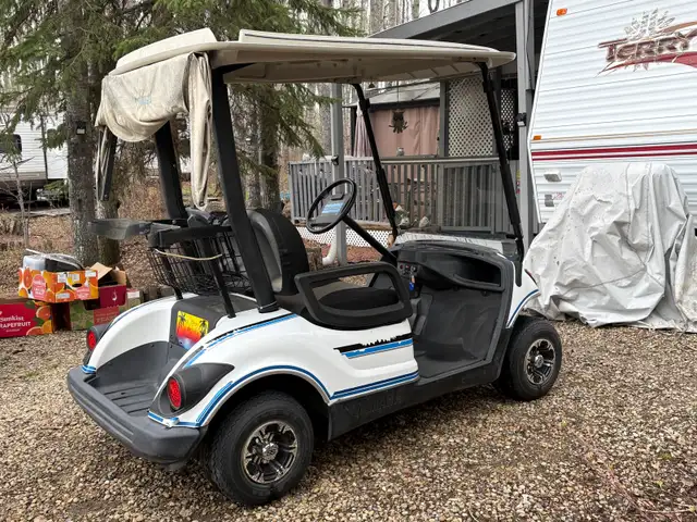 2009 Yamaha golf cart - Photo 3