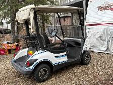 2009 Yamaha golf cart - Photo 3