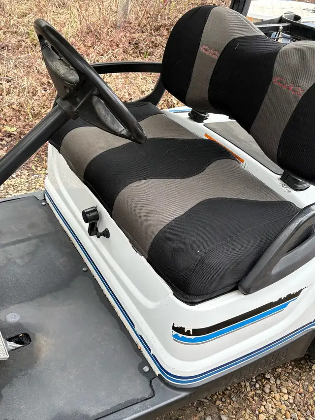 2009 Yamaha golf cart - Photo 6