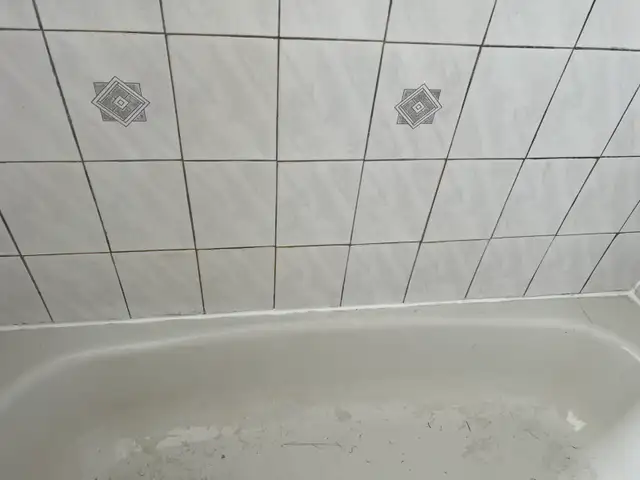 Re-Caulking Shower Bathtub Sink $100