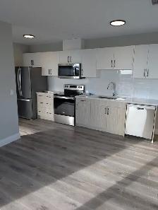 Bachelor & 3 Bedroom Units Available in North London at Staxlyfe - Photo 5