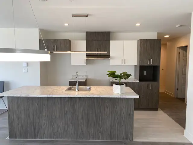 Superbe grand 4 1/2 à Ville Sainte-Catherine - Photo 3