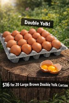 BROWN EGGS DOUBLE YOLK