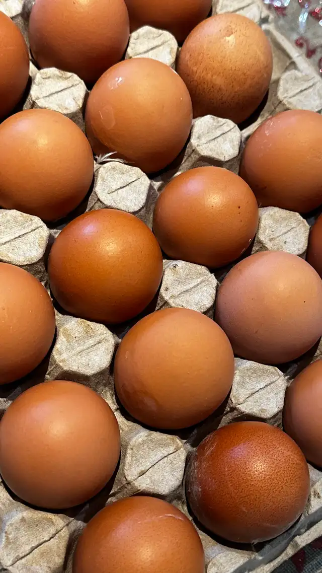 BROWN EGGS DOUBLE YOLK - Photo 3