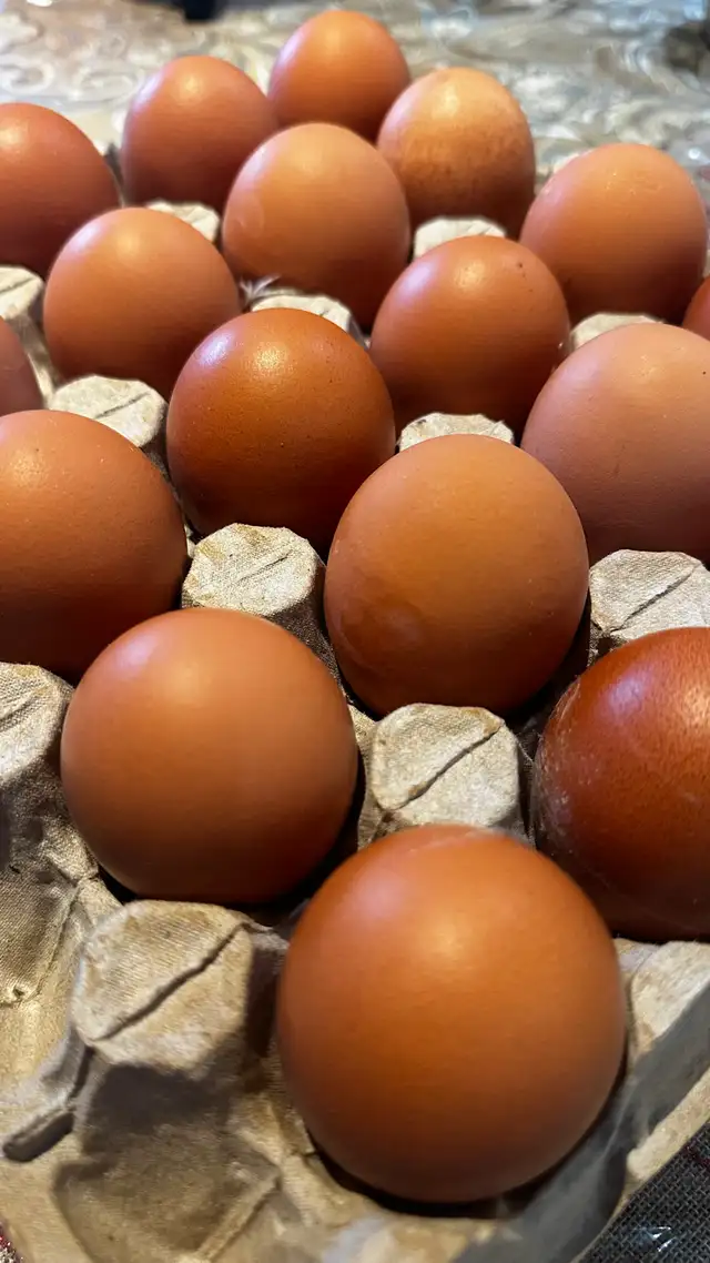 BROWN EGGS DOUBLE YOLK - Photo 4