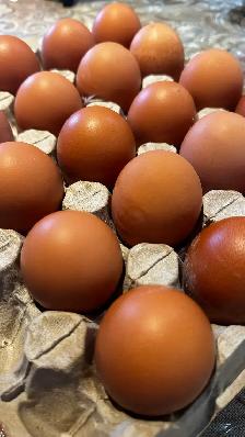 BROWN EGGS DOUBLE YOLK - Photo 4