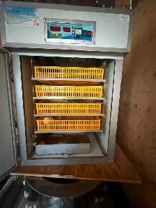 352 egg incubator - Photo 2