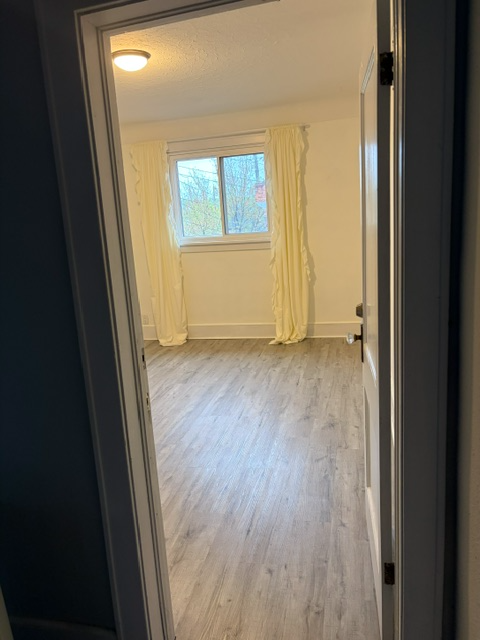 Renovated One Bedroom Apartment - Photo 2