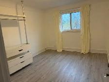Renovated One Bedroom Apartment - Photo 3