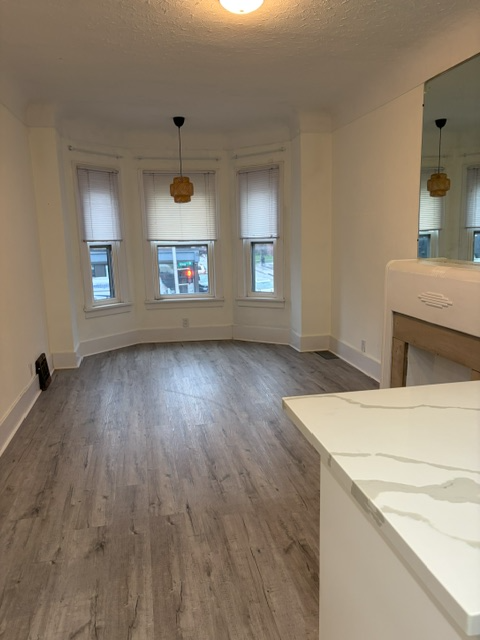 Renovated One Bedroom Apartment - Photo 6