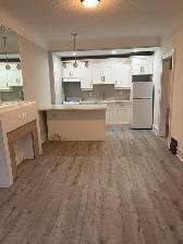 Renovated One Bedroom Apartment - Photo 7