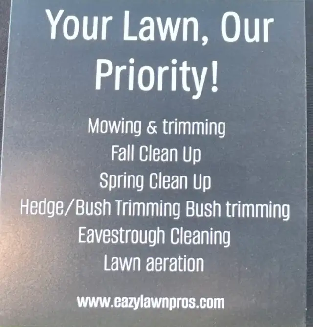 spring clean ups