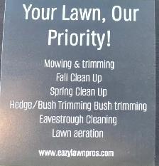 spring clean ups