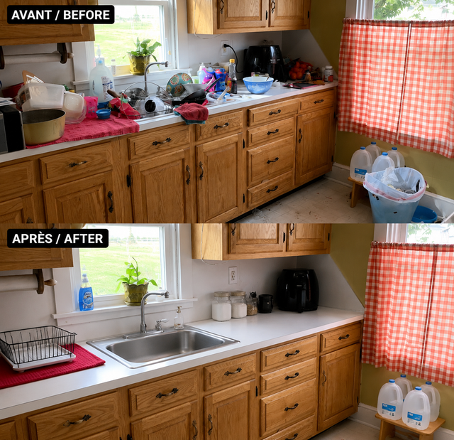 Service de Nettoyage Professionnel/Professional Cleaning Service