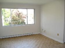 Bright 2 Bedroom in Strathroy - Photo 3