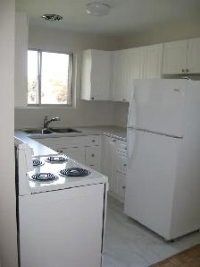 Bright 2 Bedroom in Strathroy - Photo 4