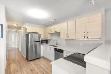 Well-Maintained 3bdrm Bi-Level w/ Bright Open Concept Layout! - Photo 5