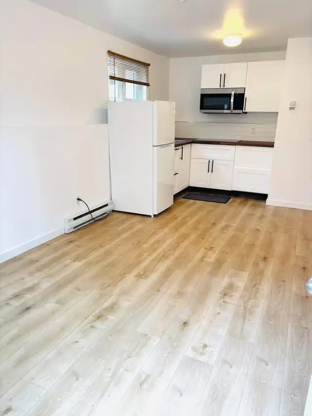 Studio semi-meublé calme et lumineux – Ahuntsic, Montréa