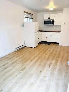 Studio semi-meublé calme et lumineux – Ahuntsic, Montréa