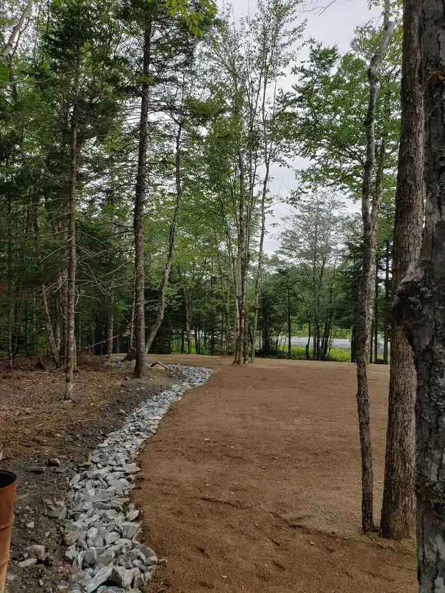 Excavation and Landscape