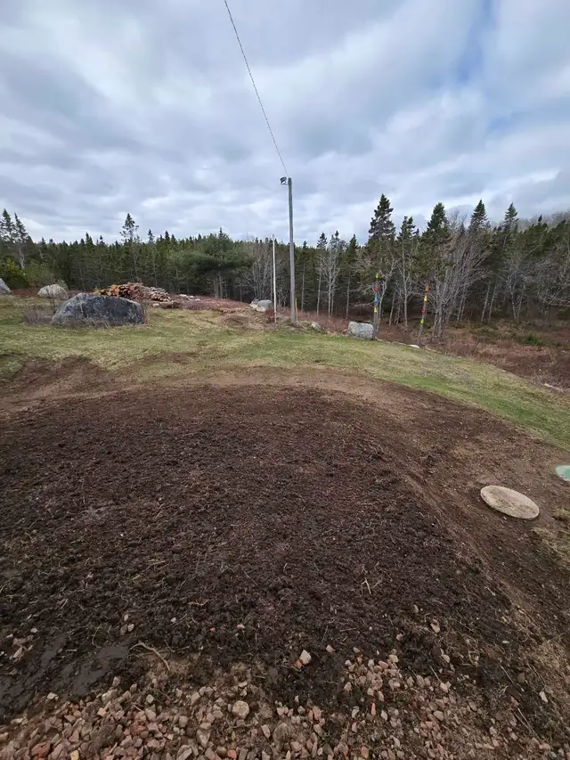 Excavation and Landscape - Photo 6