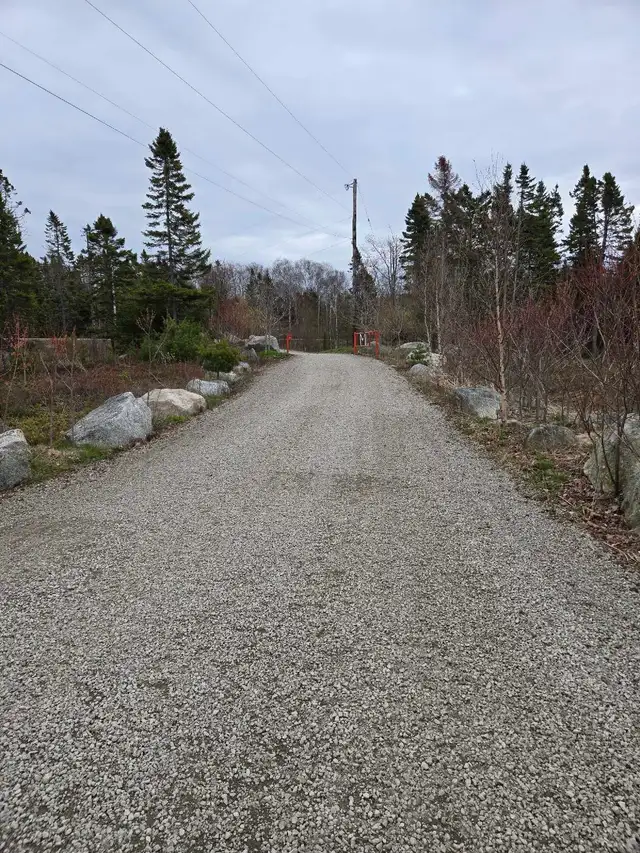 Excavation and Landscape - Photo 9