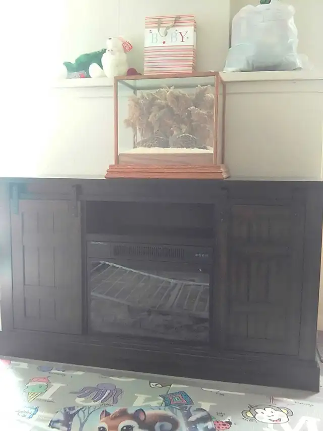 60 inch Electric Fireplace TV Stand like new