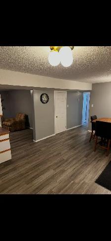 2 bedroom half duplex fully furnished/utilities included
