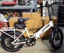TWO Brand-Spanking-New Folding E-bikes!
