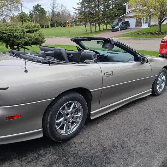 2002 Camaro Convertible - Photo 5