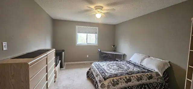 AVAILABLE NOW- FURNISHED LARGE MODERN CLEAN ROOM IN SOUTH BARRIE - Photo 6