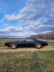 1981 Pontiac Trans Am SURVIVOR